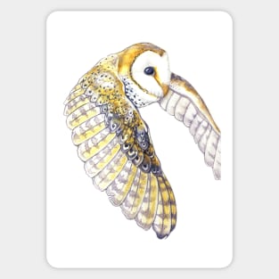 Milo: Australian Masked Barn Owl Sticker